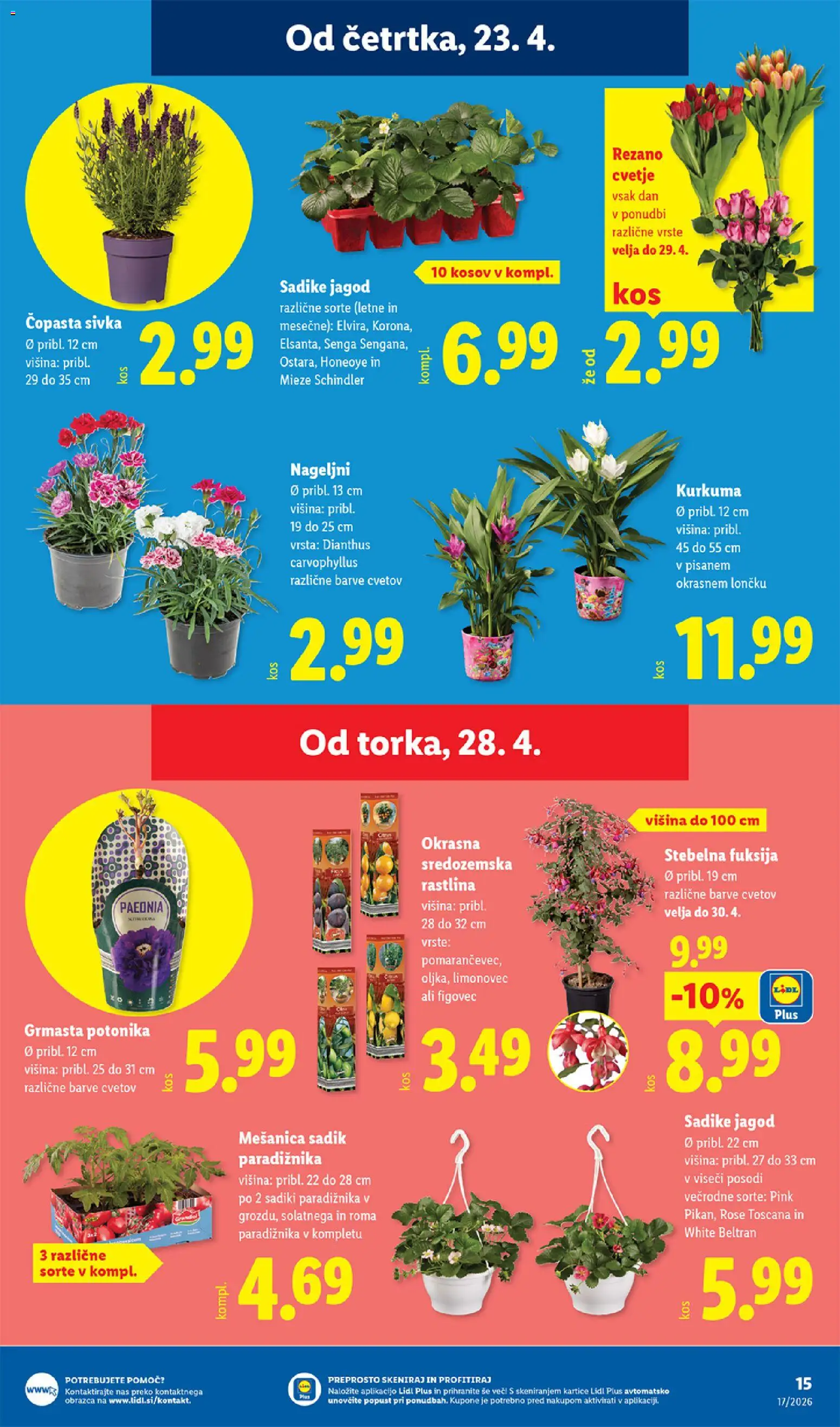 Novi Lidl katalog ponudbe – veljaven od 23.04.2026 | Stran: 25 | Izdelki: Cvetje