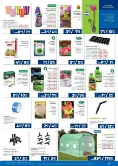 Преглед на Практикер брошура - Офертите са валидни от 05.03.2026 | Страница: 31 | Продукти: Babzsák, Зеленчуци, Саксия, Семена