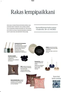 LEXINGTON COMPANY Koira-koristetyyny 50 x 50 cm, Vuhh! Lexingtonin hauska koira-aiheinen samettityyny ilahduttaa koiran ystävän kotia. – voimassa 01.09.2025 alkaen | Sivu: 84 | Tuotteet: Koristetyyny, Kynttilät