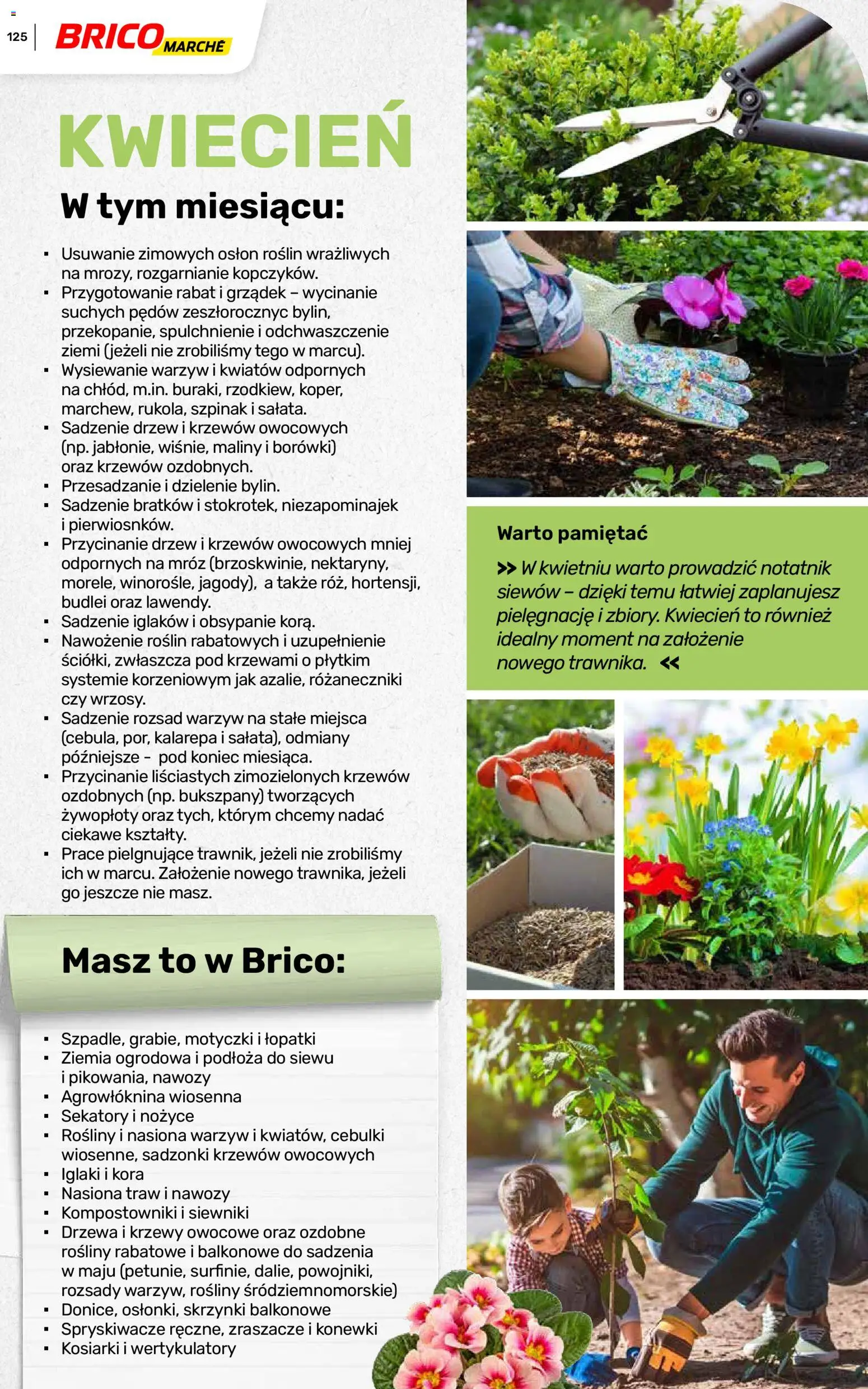 Brico Marché gazetka - Wiosna od 04.03.2026 | Strona: 125 | Produkty: Ziemia ogrodowa, Ziemia, Szpinak, Krzewy owocowe