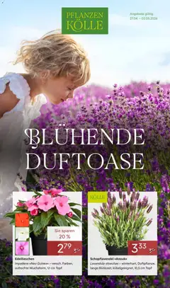 Pflanzen-Kölle Blühende Duftoase ab 27.04.2026 gültig