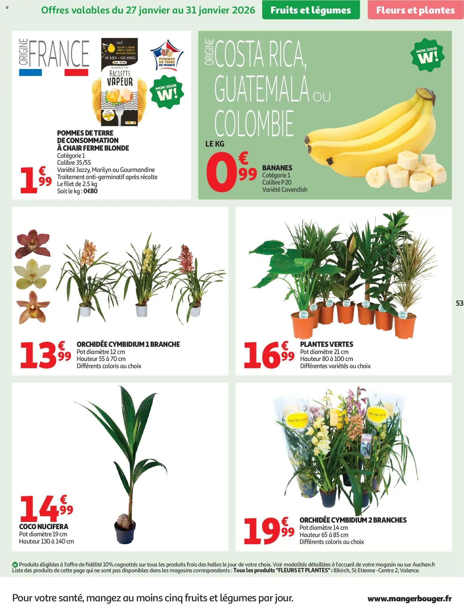 {H1} | Page: 53 | Produits: Sac, Orchidée, Pommes, Pommes de terre