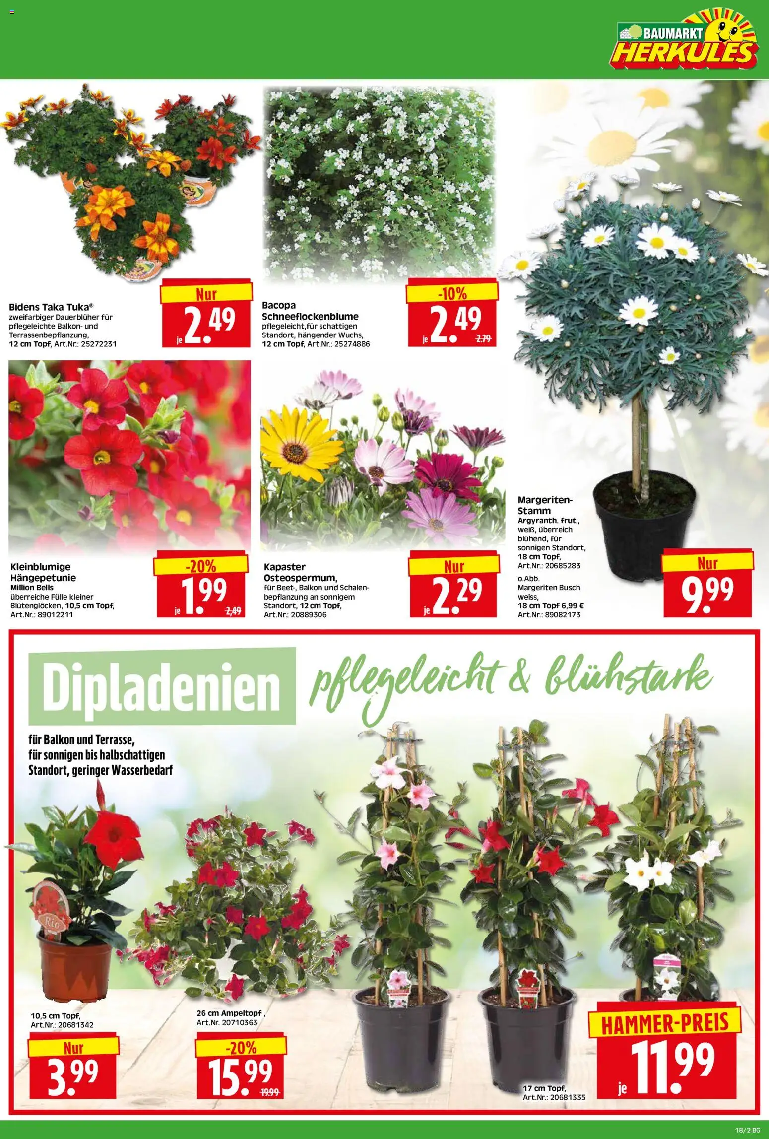 HERKULES Bau & Garten – gültig ab 27.04.2026 | Seite: 2