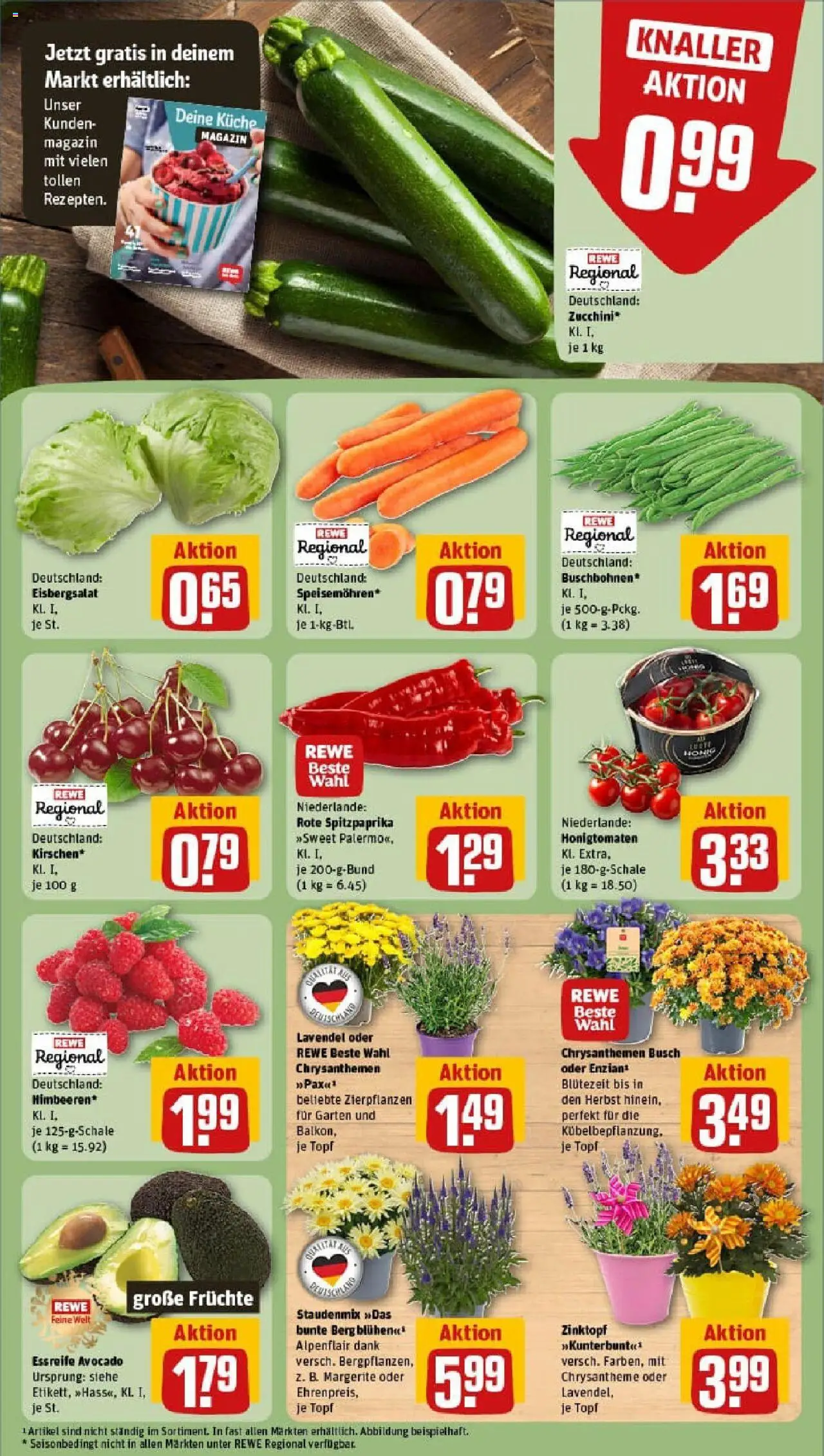 Rewe prospekt Buxtehude	 - gültig ab dem 20.07.2025 | Seite: 7 | Produkte: Küche, Eisbergsalat, Zucchini, Lavendel