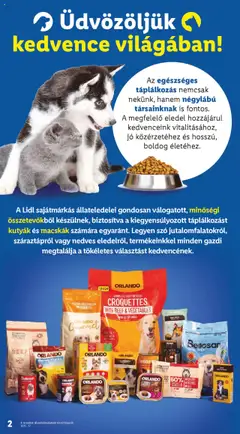 Lidl akciós ujság - amely érvényes a következő dátumtól: 24.04.2025 | Oldal: 2 | Termékek: Nuggets