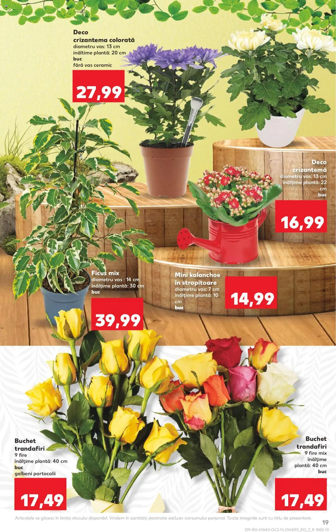 Noul catalog Kaufland – valabil de la 22.10.2025 | Pagină: 19