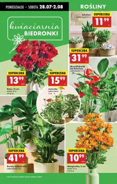 Biedronka gazetka od 28.07.2025 | Strona: 26 | Produkty: Rosliny, Doniczki, Kwiaty