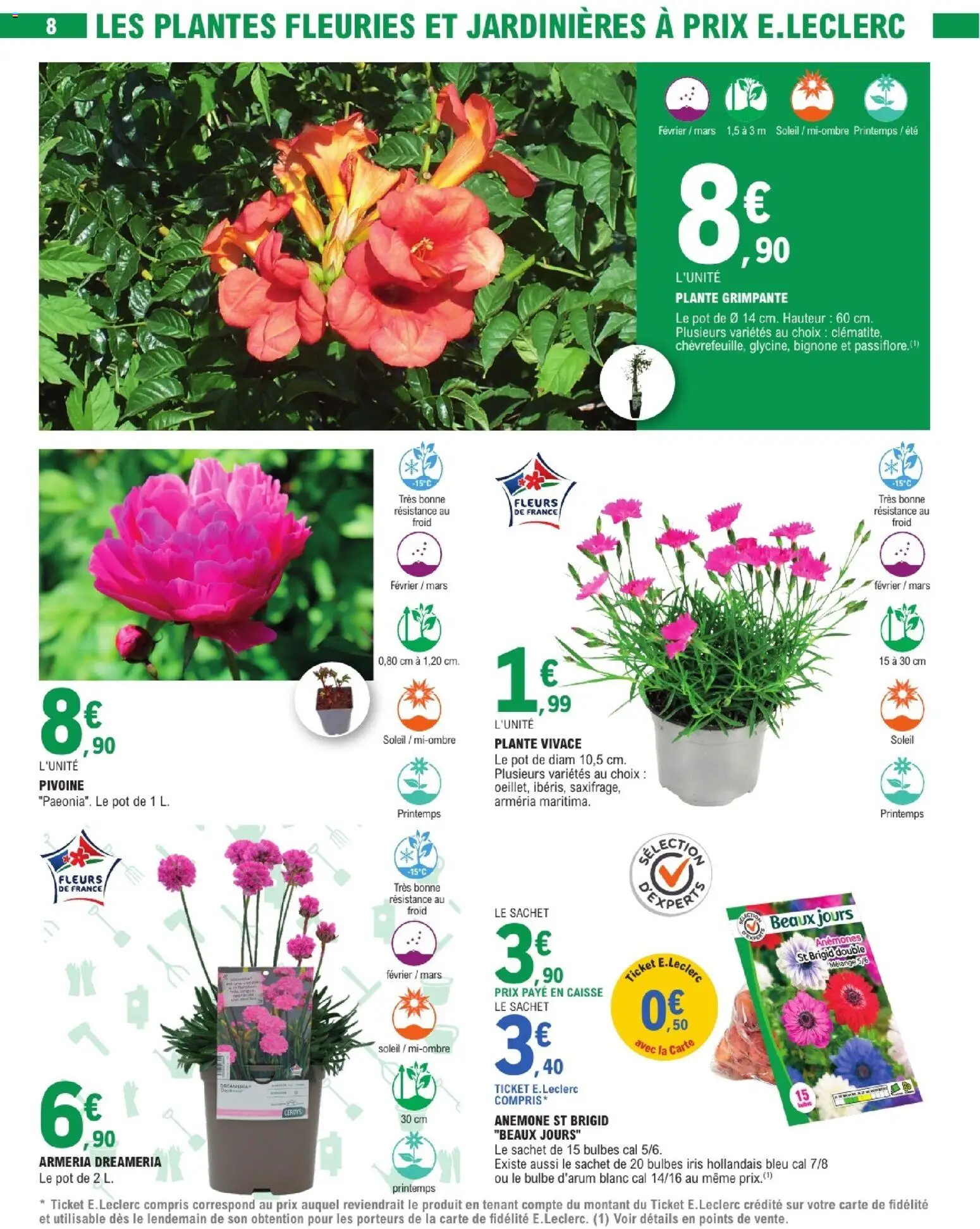 {H1} | Page: 8 | Produits: Plantes