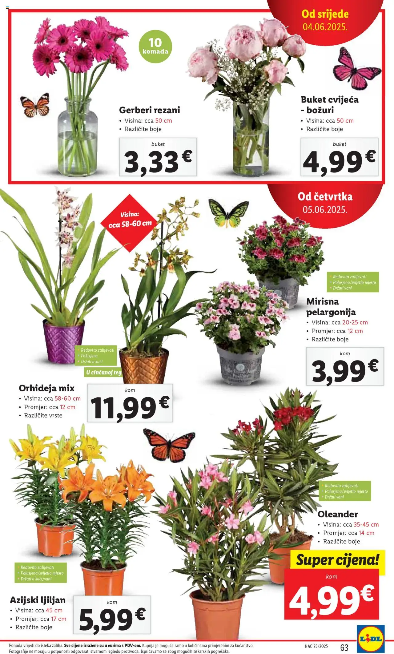 Lidl katalog | vrijedi od 02.06.2025 | Stranica: 63 | Proizvodi: Orhideja