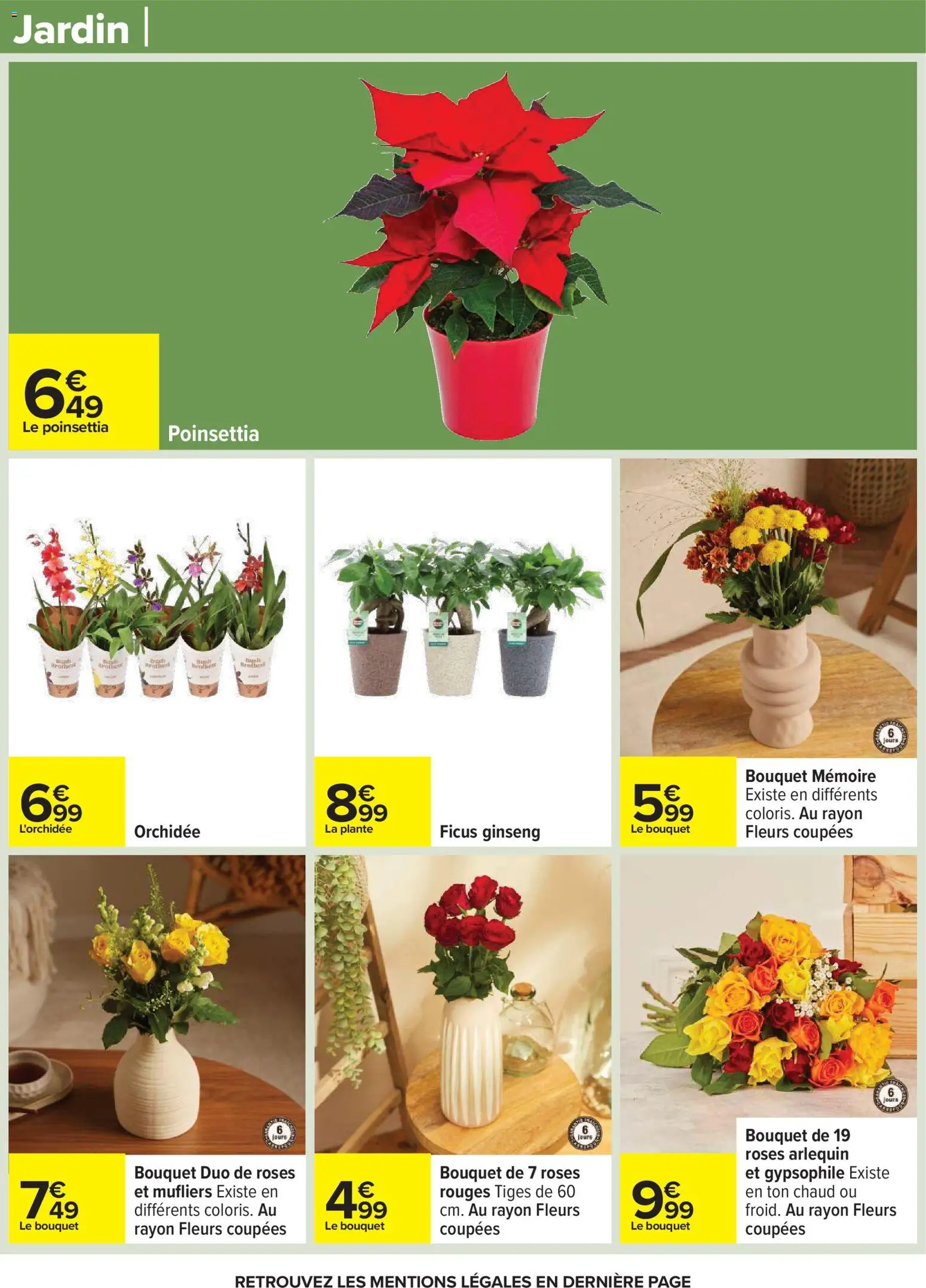 {H1} | Page: 56 | Produits: L'orchidée, Poinsettia, Orchidée