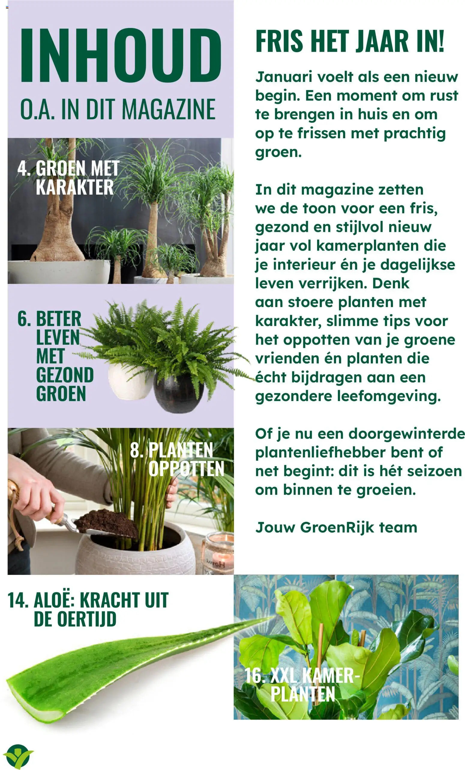 {H1} | Pagina: 3 | Producten: Kamerplanten