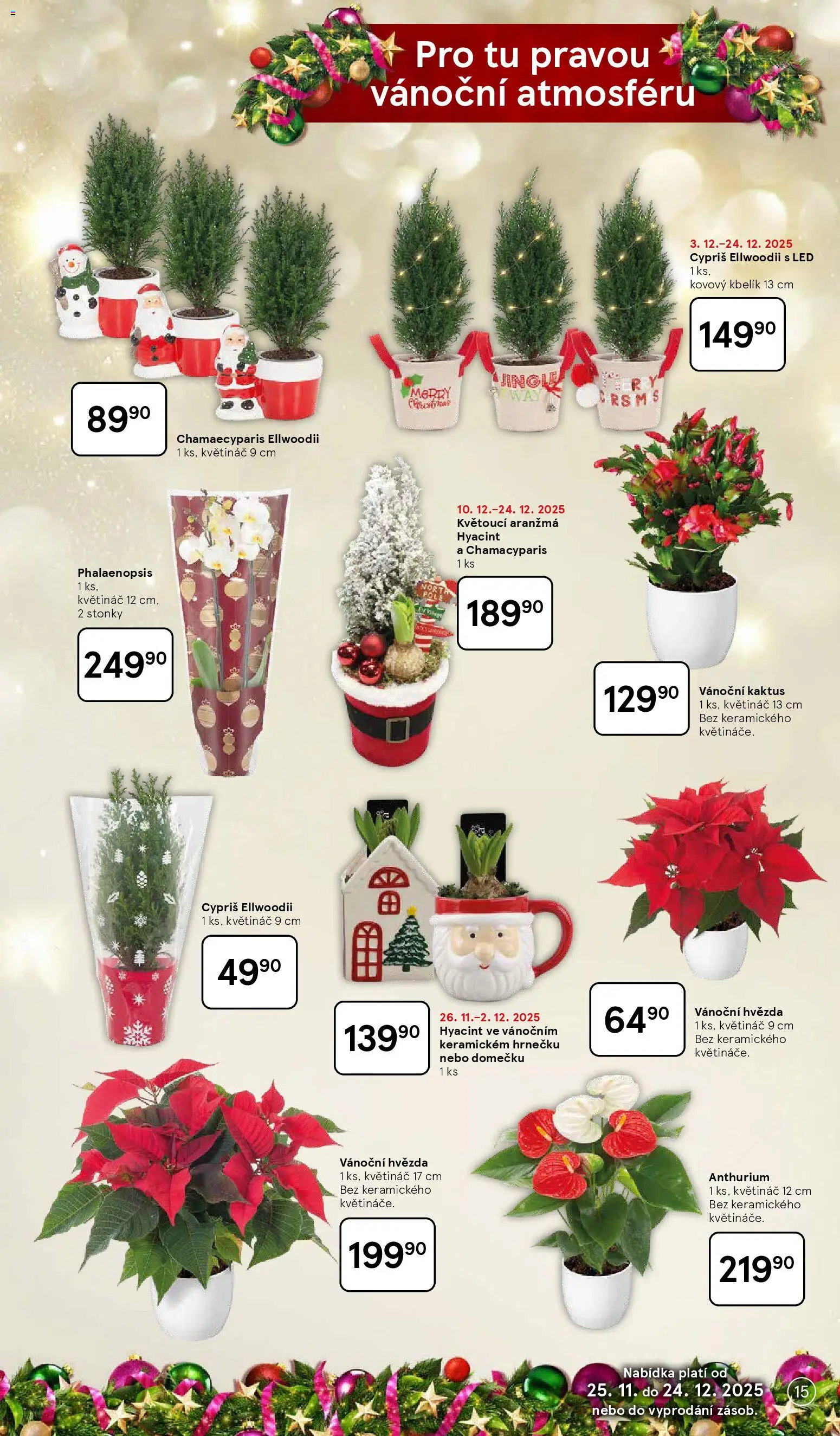 Tesco katalog od 25.11.2025 | Strana: 15 | Produkty: Květináče, Kbelík, Květináč, LED