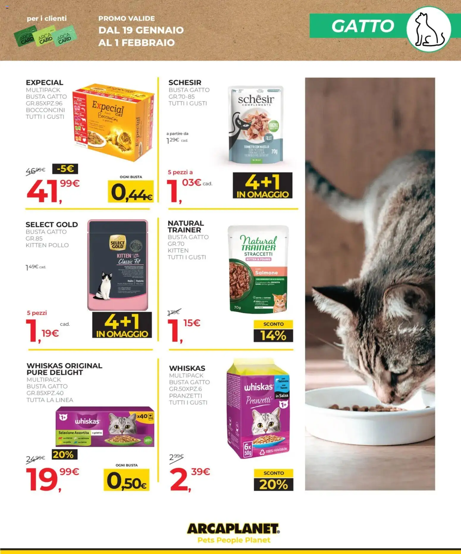Volantino Arcaplanet del 19.01.2026 | Pagina: 9 | Prodotti: Pollo, Salmone, Salsa, Nasello