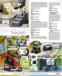 Velký Košík katalog září od 01.09.2025 | Strana: 66 | Produkty: Škrabadlo pro kočky, Mošt, Kolo, Kočárek