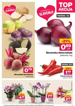 Mercator katalog akcije – veljaven od 15.01.2026 | Stran: 3 | Izdelki: Paprika, Šopek, Cebula