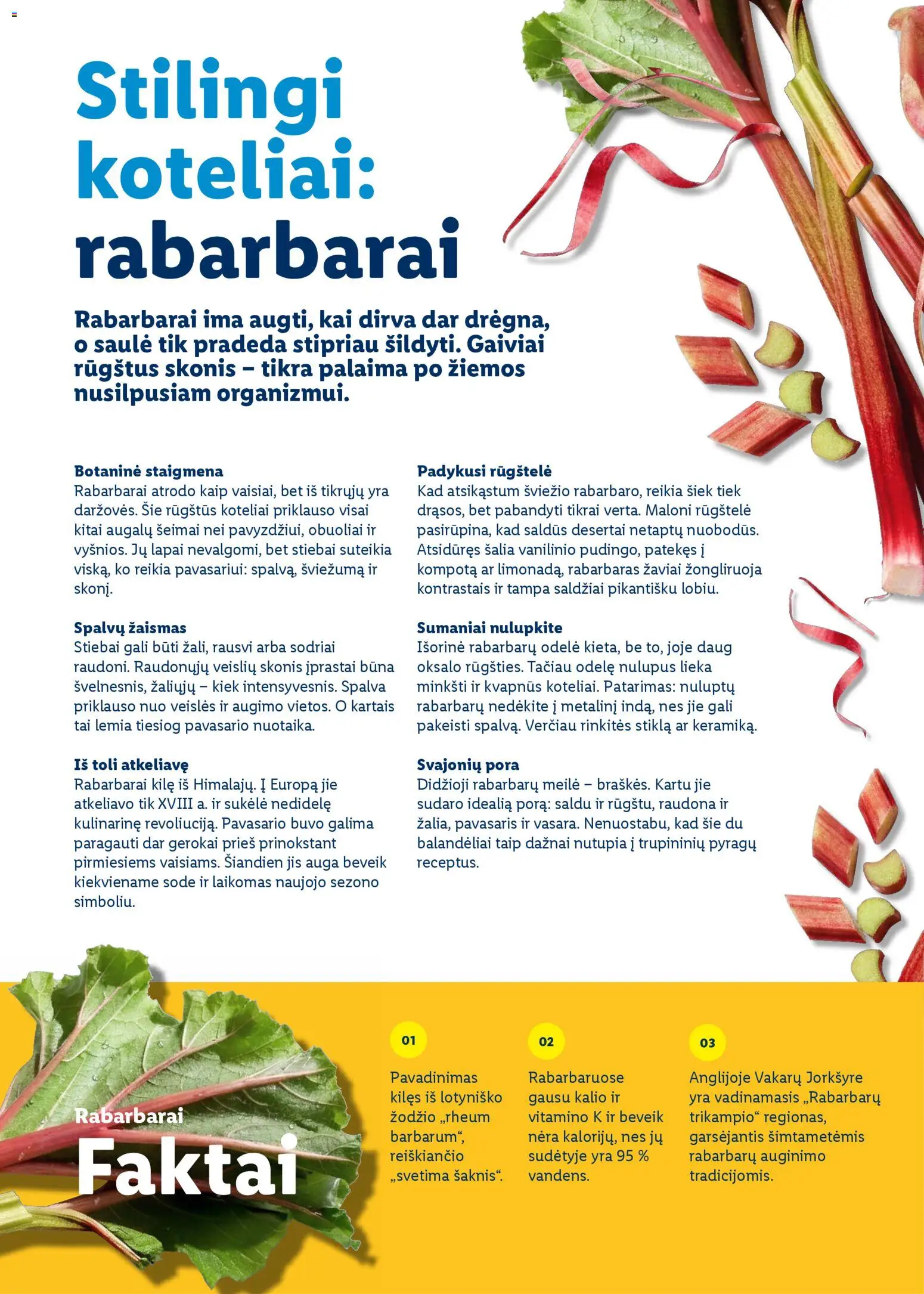 LIDL akcijos nuo 01.03.2026 | Puslapis: 86 | Prekių: Obuoliai