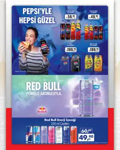 13.03.2026 tarihinden itibaren geçerli olan Seyhanlar Market kataloğu önizlemesi | Sayfa: 7