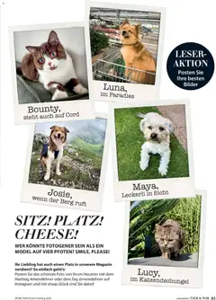 Dehner Prospekt 	 ab 04.03.2026 gültig | Seite: 85