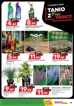 Brico Marché Gazetka - Tanio z Moje Brico od 16.07.2025 | Strona: 2 | Produkty: Borówka amerykańska, Cleaner, Doniczka