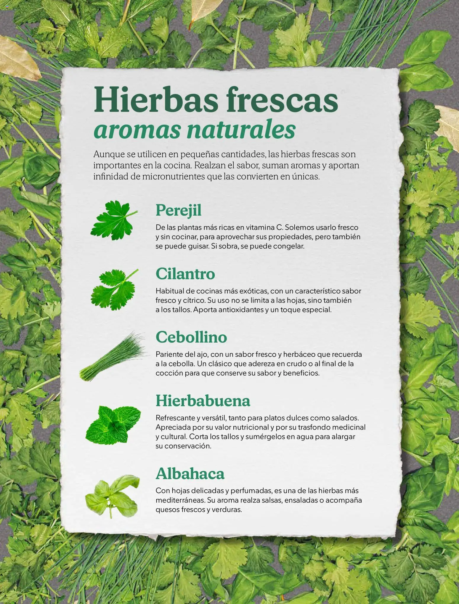 Catálogo Mercadona - Navidad 2025 │ válido desde el 02.12.2025 | Página: 26