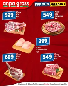 04.11.2025 tarihinden itibaren geçerli olan Anpa Gross kataloğu önizlemesi