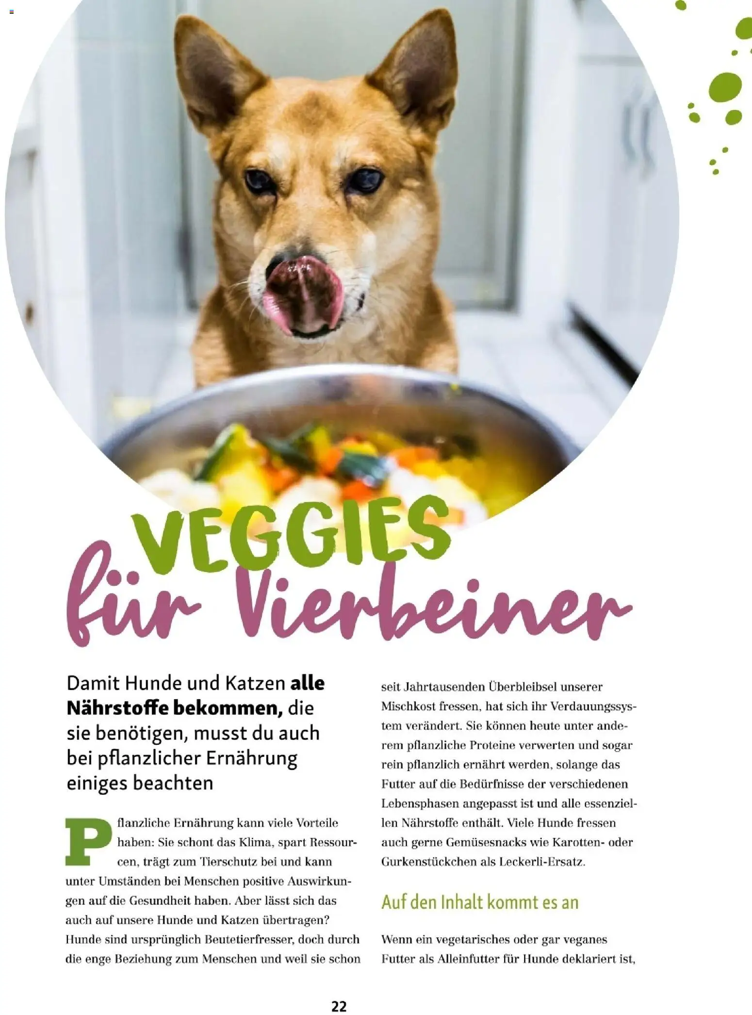 Fressnapf Friends 01/26 gültig ab 01.01.2026 | Seite: 22