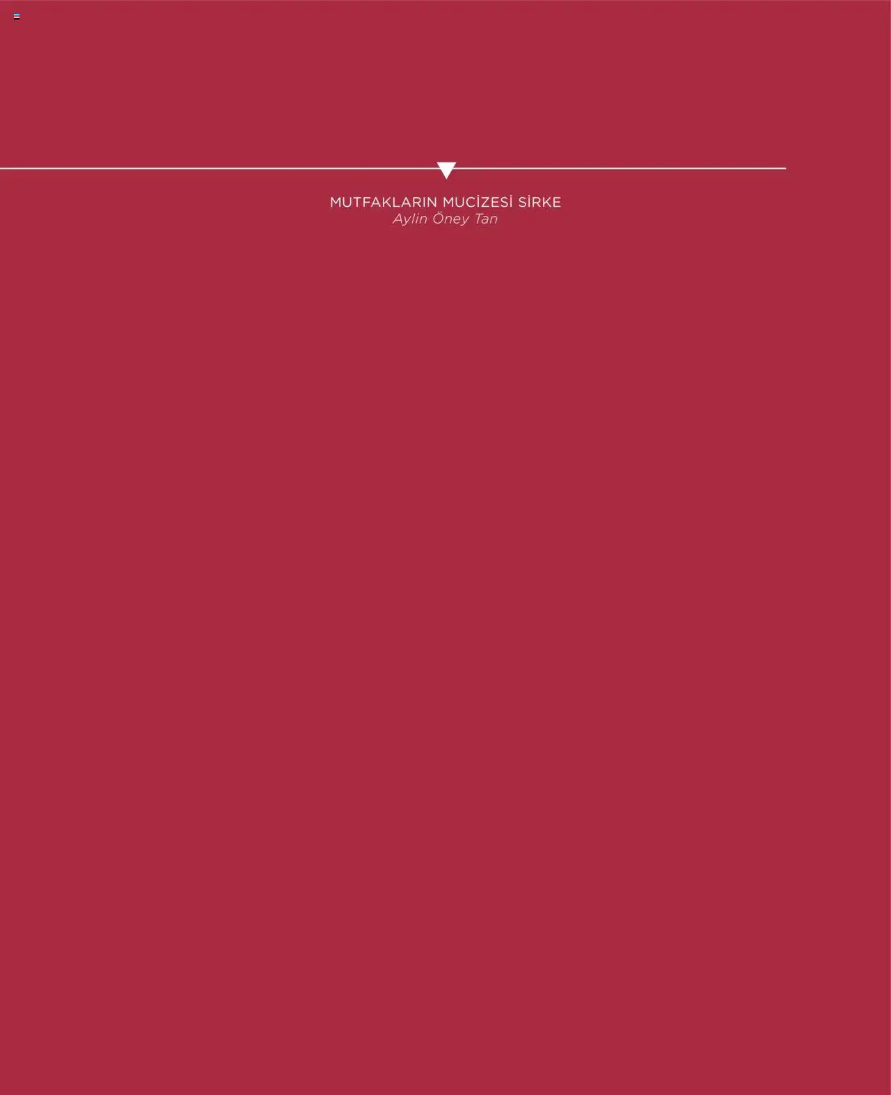 Metro Katalog Gastro Temmuz - Ağustos - Eylül 2025 - 01.07.2025 tarihinden itibaren geçerlidir | Sayfa: 49 | Ürünler: Sirke