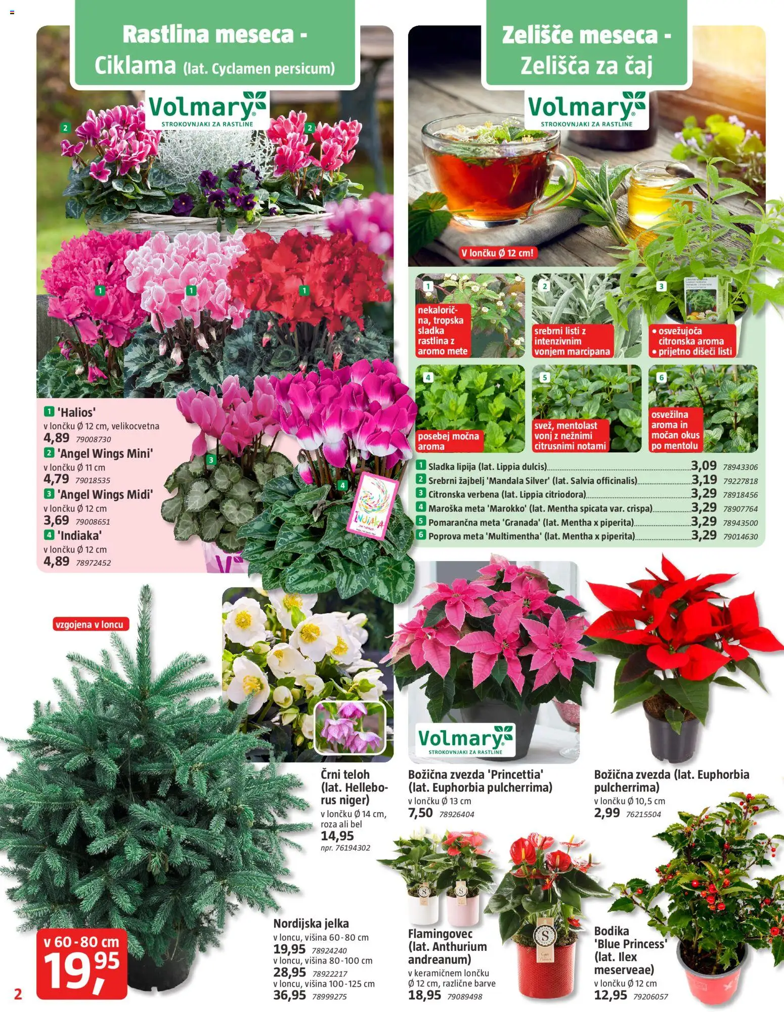 Novi Bauhaus katalog ponudbe – veljaven od 06.11.2025 | Stran: 2 | Izdelki: Caj