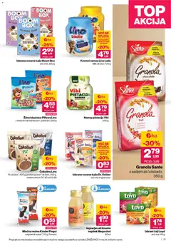 Mercator katalog akcije – veljaven od 05.03.2026 | Stran: 17