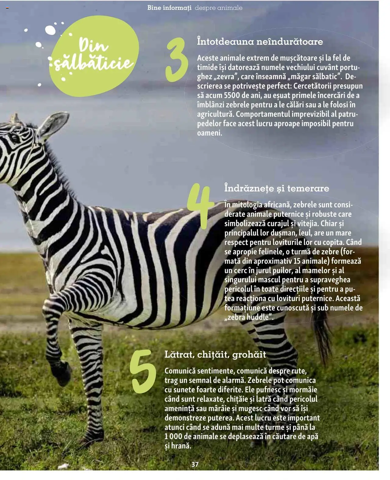 Catalog Fressnapf - Vară – valabil de la 05.05.2025 | Pagină: 37 | Produse: Apă