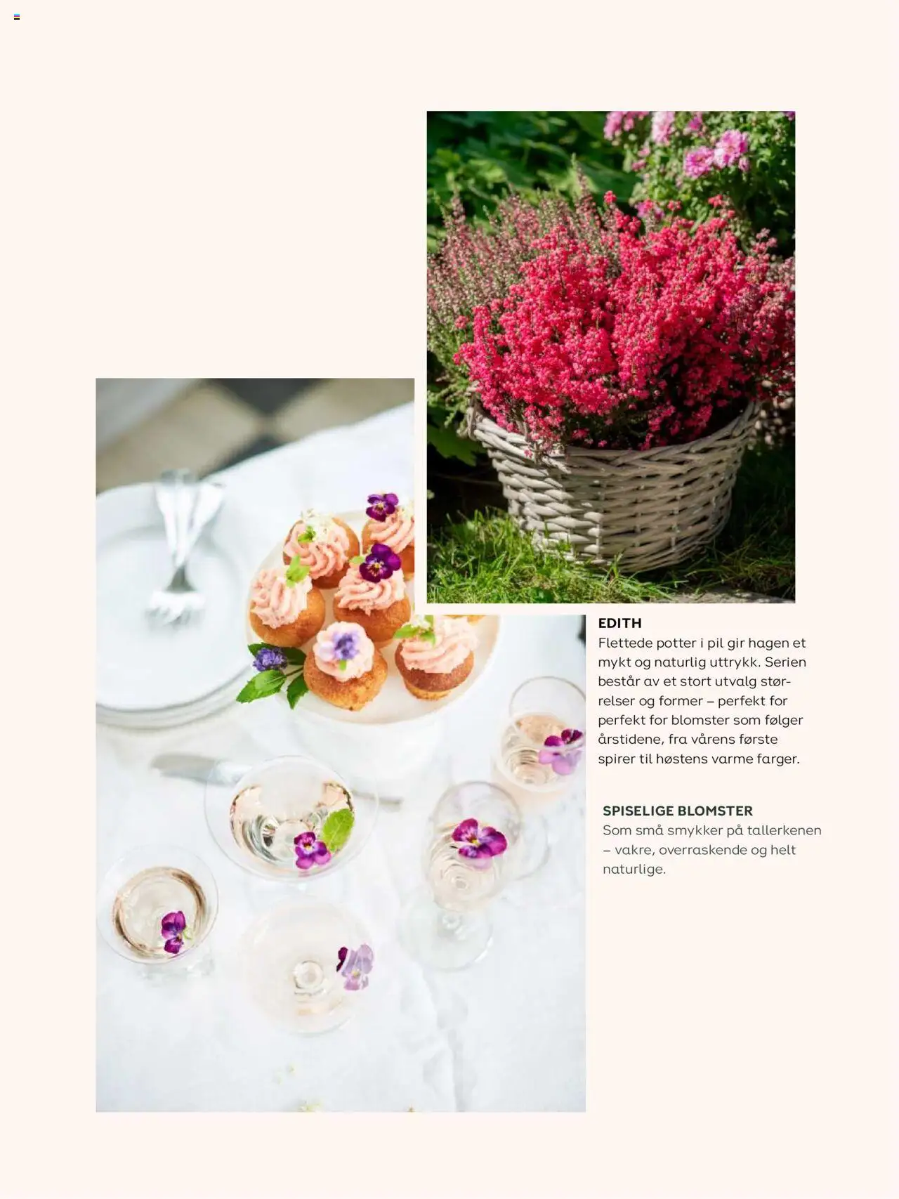 {H1} | Side: 50 | Produkter: Smykker, Cremă pentru față