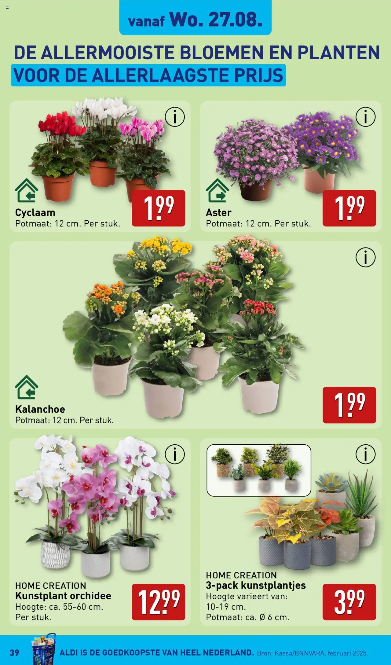  | Pagina: 39 | Producten: Bloemen