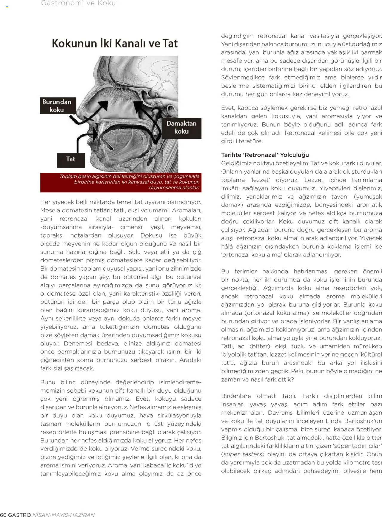 Metro Katalog Gastro Nisan - Mayis - Haziran 2025 - 01.04.2025 tarihinden itibaren geçerlidir | Sayfa: 66 | Ürünler: Koku, Domates, Meyve
