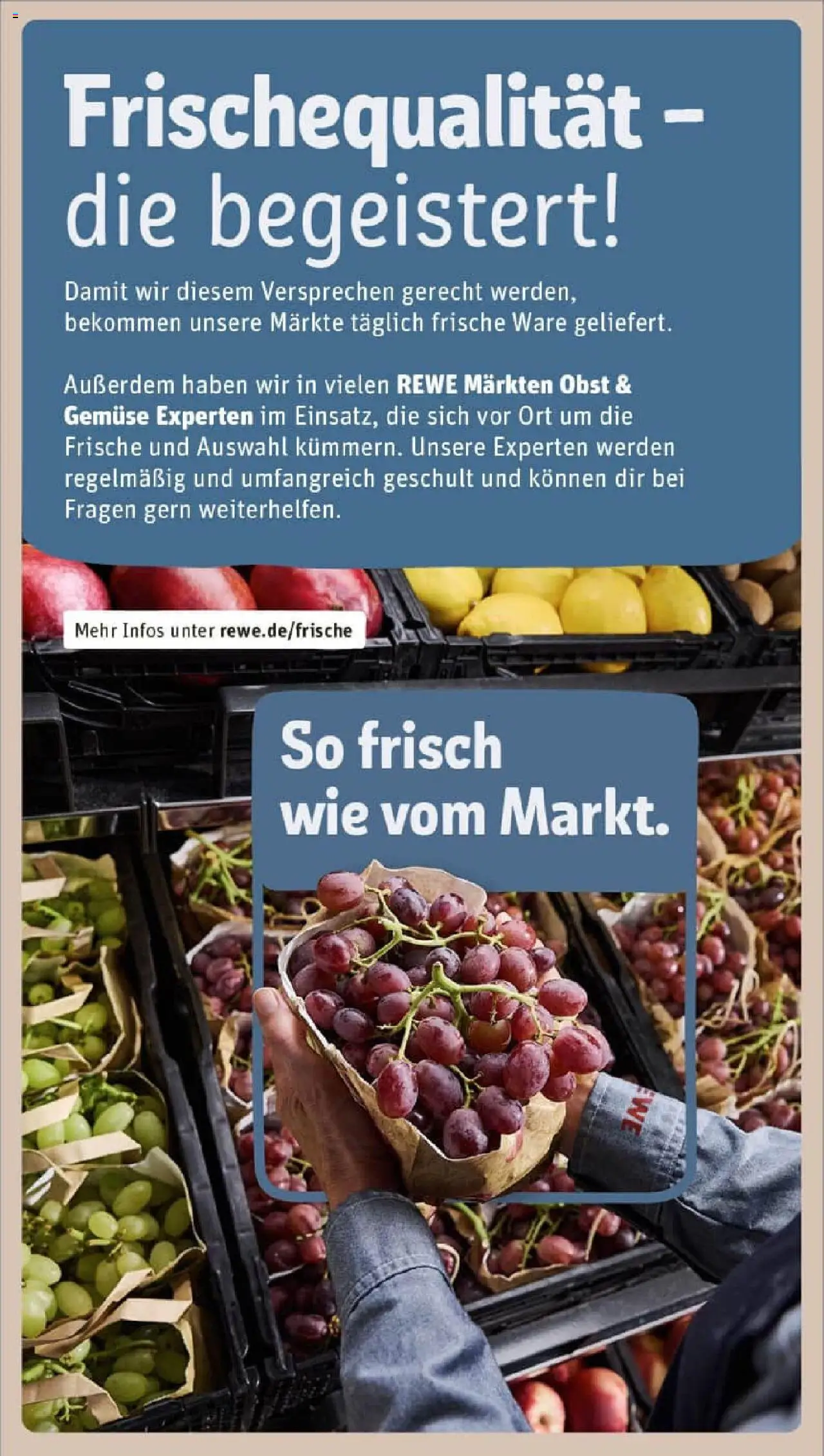 Rewe ihr Kaufpark Prospekt 	 – gültig ab 15.09.2025 | Seite: 28 | Produkte: Gemüse, Obst