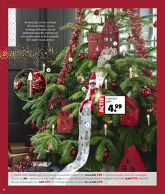 Intratuin - Folder - Voorbeeld van een folder van Intratuin, geldig van 01.12.2025 | Pagina: 4