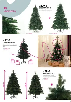 Kondela leták platný od 17.11.2025 | Strana: 7 | Produkty: Vianočný stromček