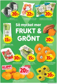 BROCCOLI, ICA. Spanien. 250 g. Klass 1 - Förhandsvisning av reklamblad från butik ICA Maxi aktuell från 12.01.2026 | Sida: 4