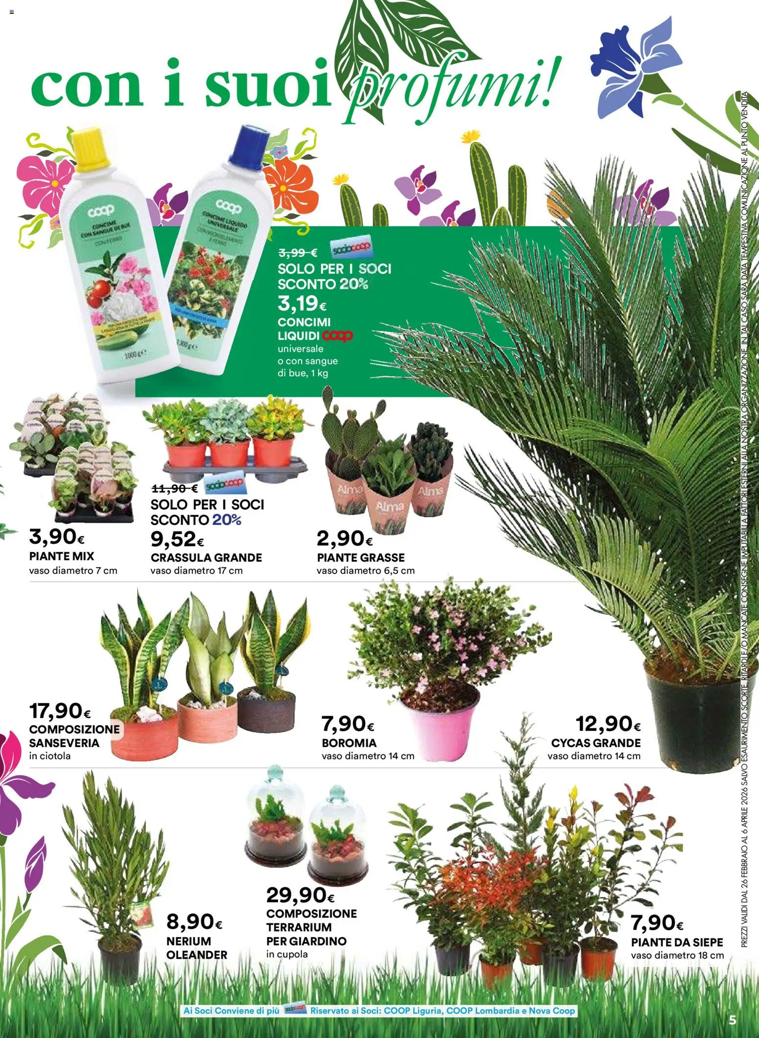 Volantino Ipercoop del 26.02.2026 | Pagina: 5 | Prodotti: Concime, Data, Ciotola, Vaso