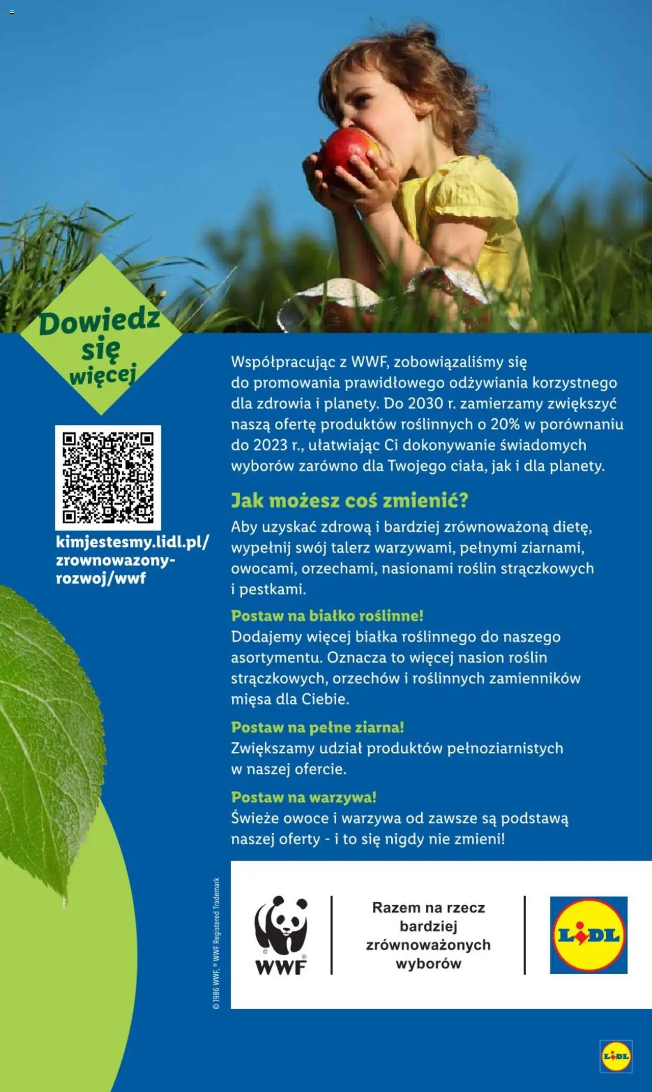 Lidl Gazetka od 25.08.2025 | Strona: 65