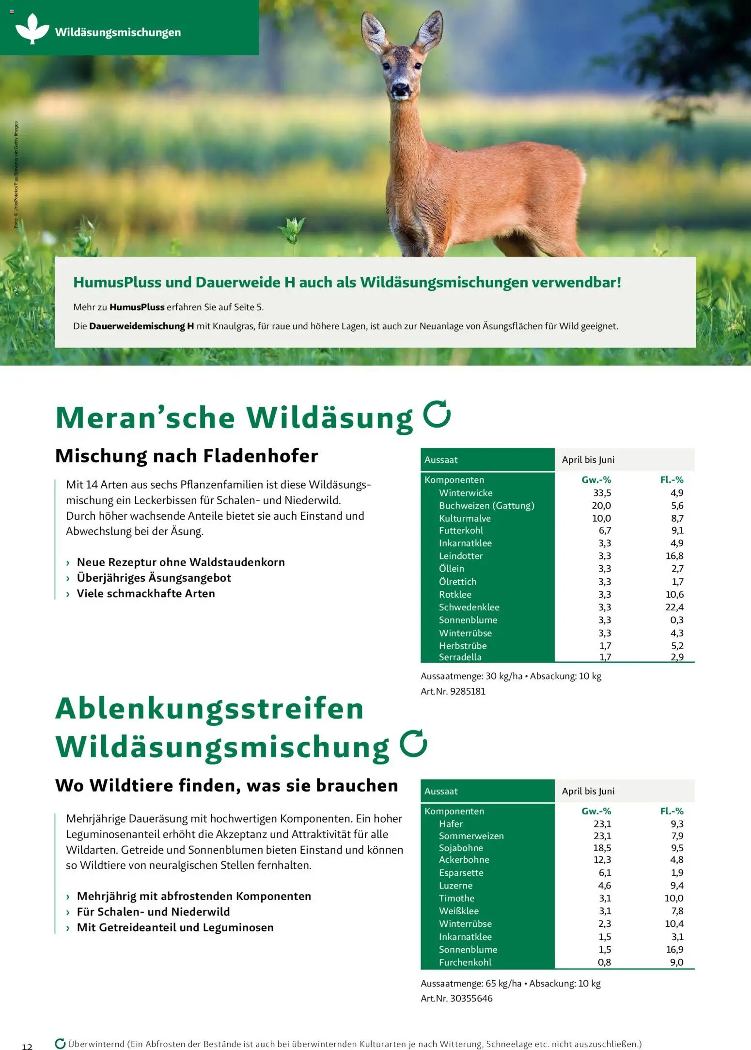 Lagerhaus Zwischenfrüchte und Begrünungen 2026 gültig ab 26.03.2026 | Seite: 12 | Produkte: Getreide