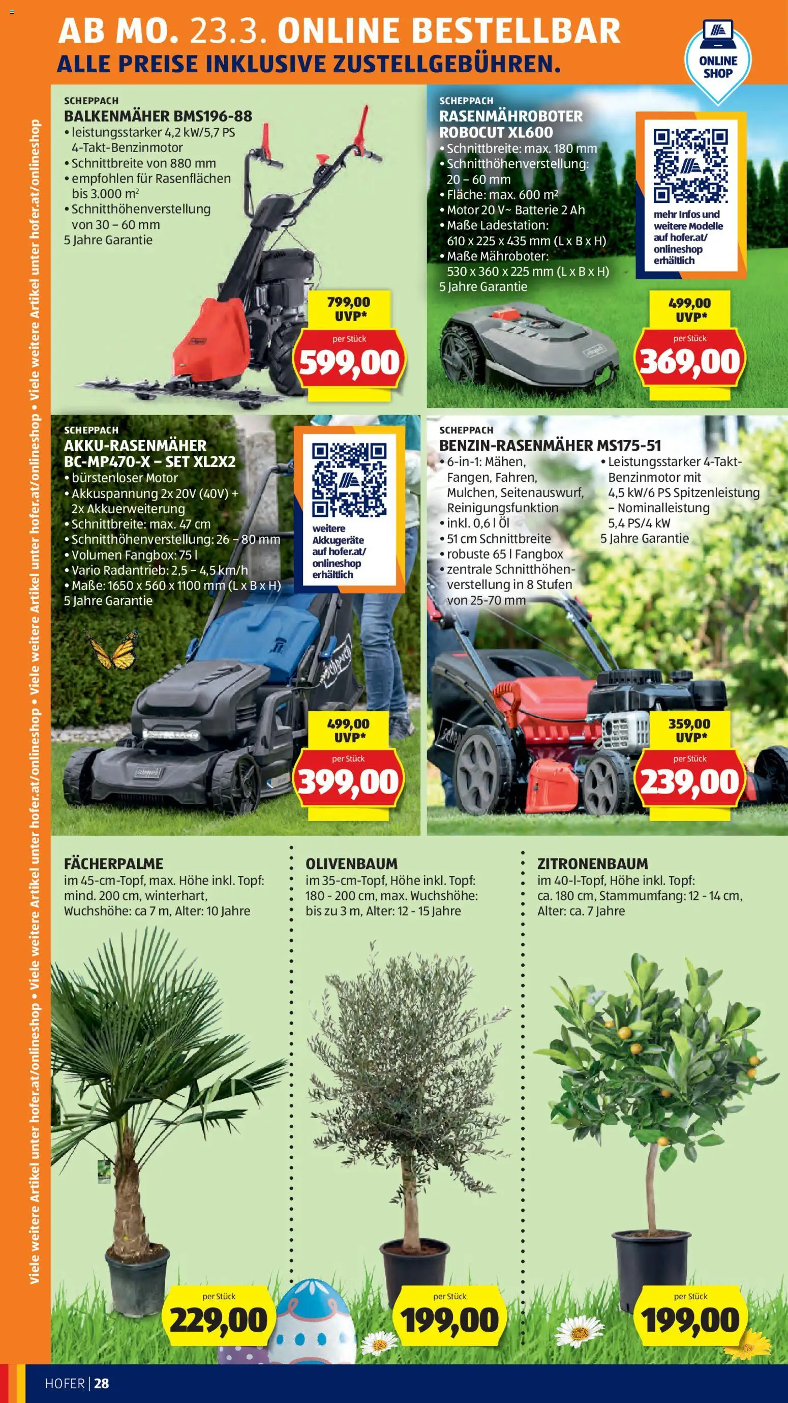 Hofer Flugblatt gültig ab 23.03.2026 | Seite: 36 | Produkte: Batterie, Öl