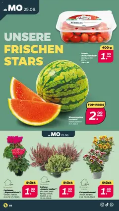 Netto Prospekt 	 - gültig ab dem 25.08.2025 | Seite: 2 | Produkte: Wassermelone, Dattel