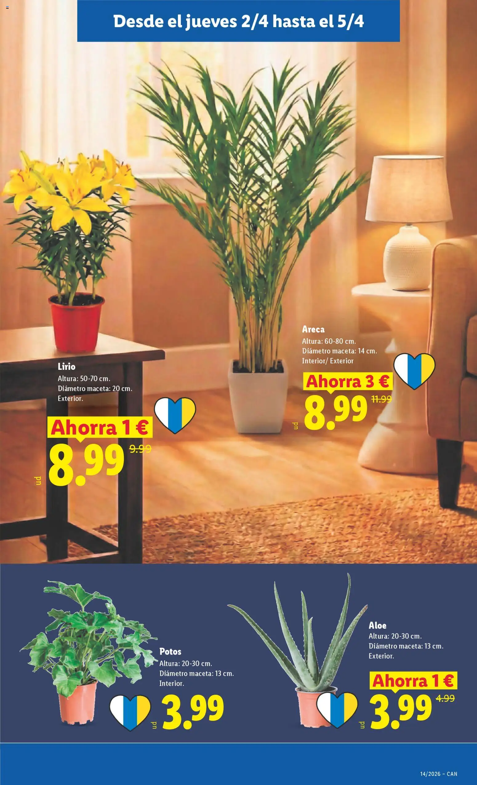 Lidl folleto │ válido desde el 30.03.2026 | Página: 41 | Productos: Maceta