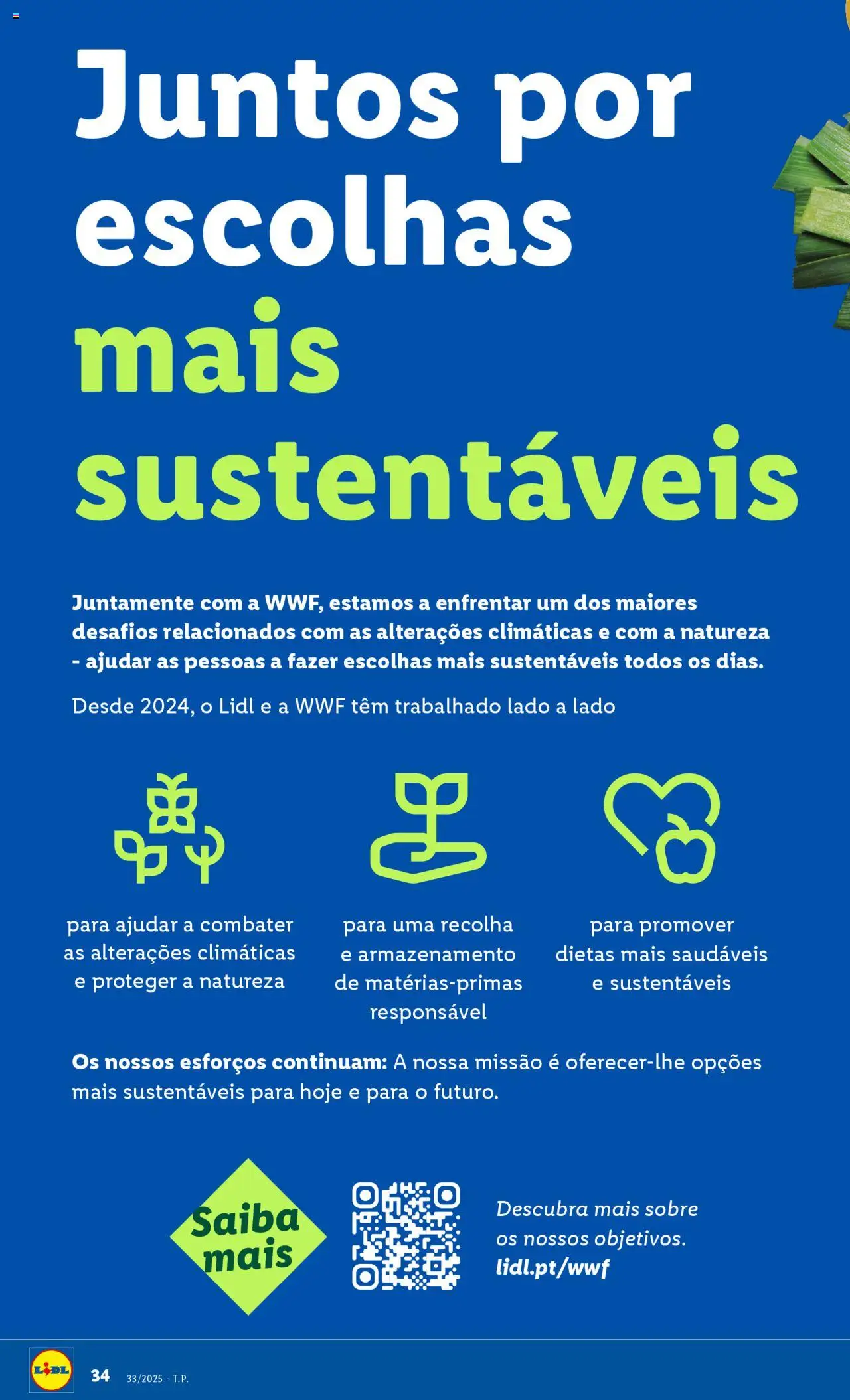 Lidl folheto │ válido de 11.08.2025 | Página: 34