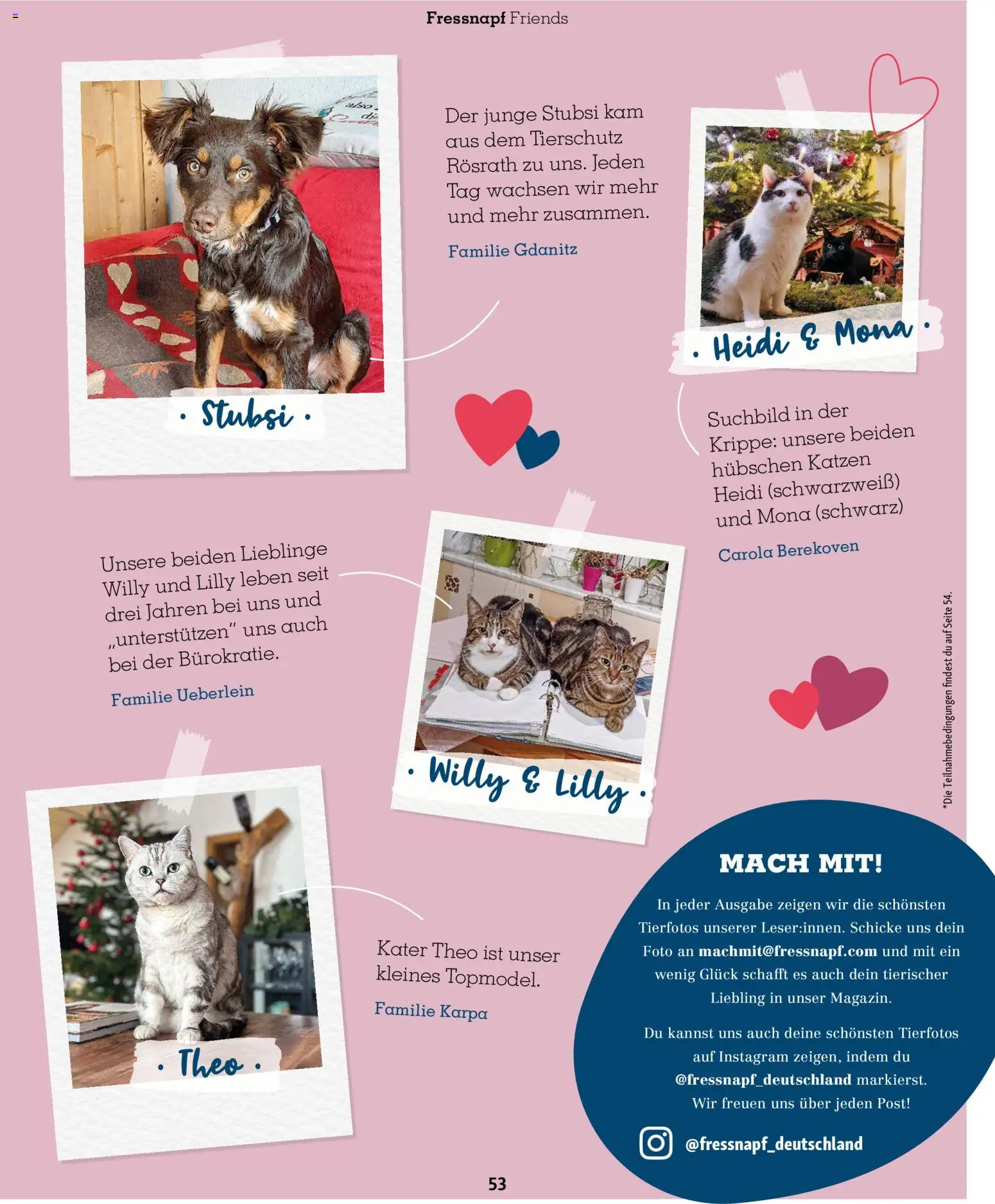 Fressnapf Friends Magazin – gültig ab 01.11.2025 | Seite: 53