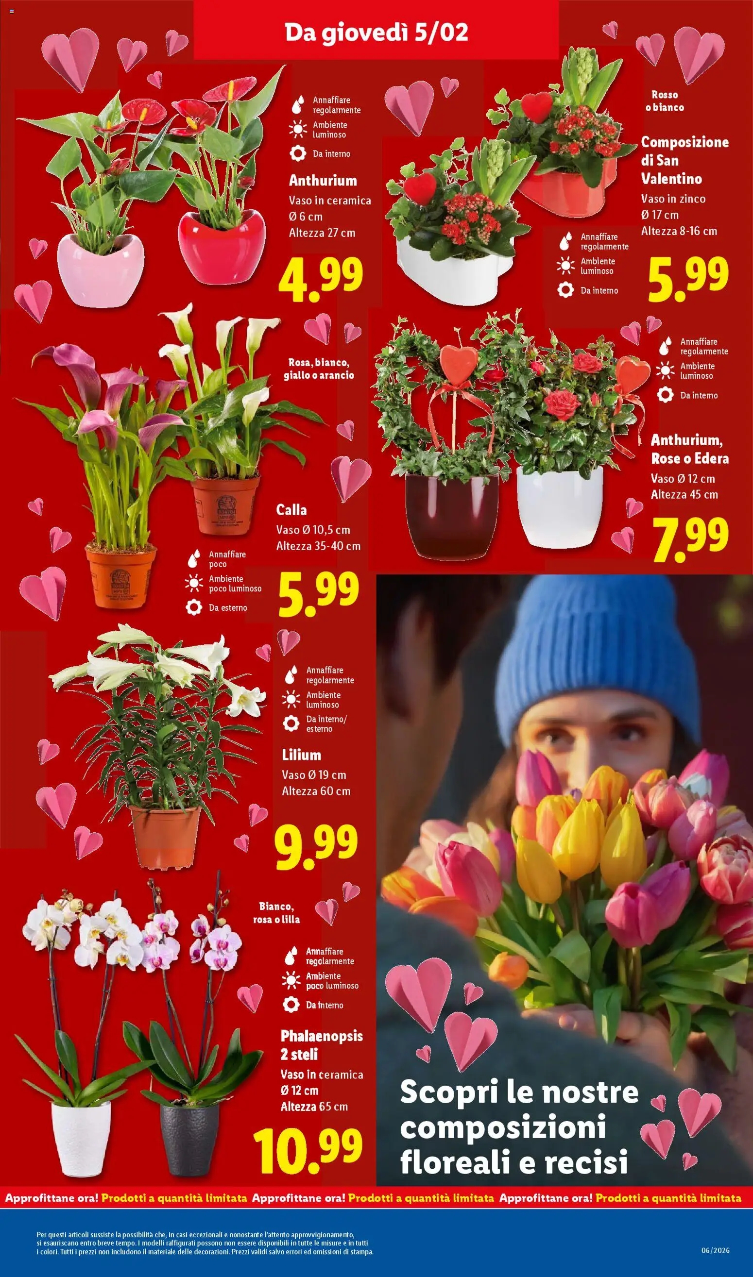 Volantino Lidl del 02.02.2026 | Pagina: 29 | Prodotti: Vaso