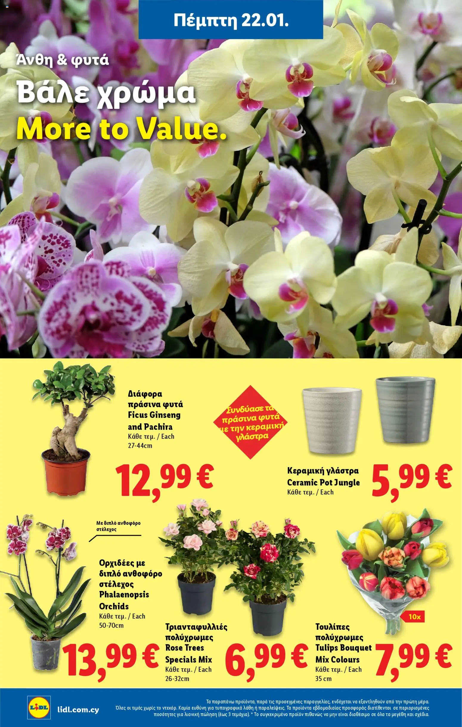 Lidl - Φυλλάδιο – σε ισχύ από 22.01.2026 | Σελίδα: 50