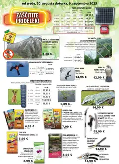 Živex katalog │ velja od 20.08.2025 | Stran: 3 | Izdelki: Baterija, Žemlja, Teza, Baterije