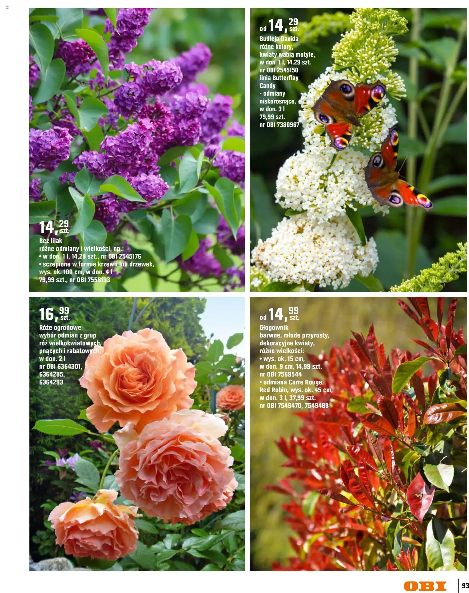 OBI gazetka - Ogród od 11.03.2026 | Strona: 93 | Produkty: Róż, Kwiaty