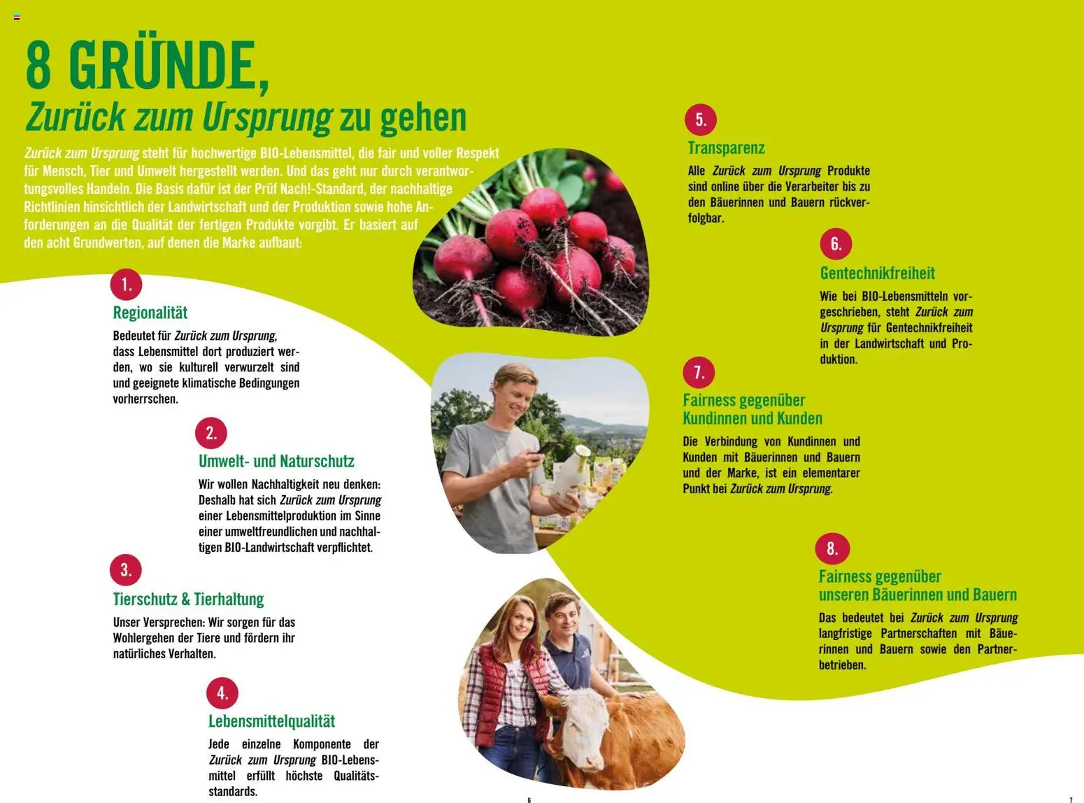 Hofer Alles über die nachhaltige Bio-Eigenmarke  gültig ab 20.02.2026 | Seite: 4 | Produkte: Libacomb